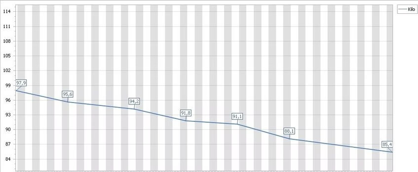 Başarı Hikayelerim sebnem serefli online diyet sureci