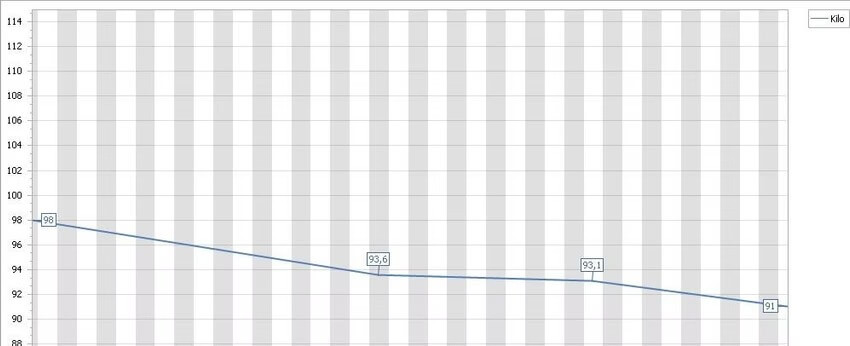 Başarı Hikayelerim uzman diyetisyen sebnem serefli beslenme danismani